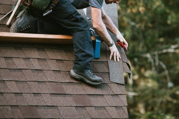 Best Roof Gutter Cleaning  in Rockledge, PA